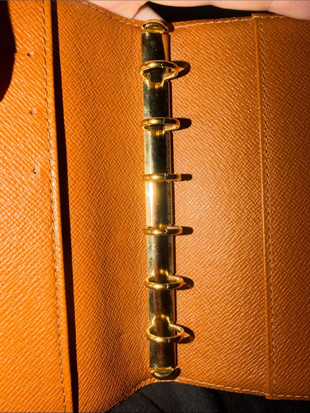 Louis Vuitton iconic louis